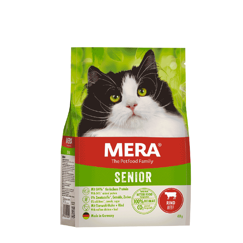 Mera Chat Senior