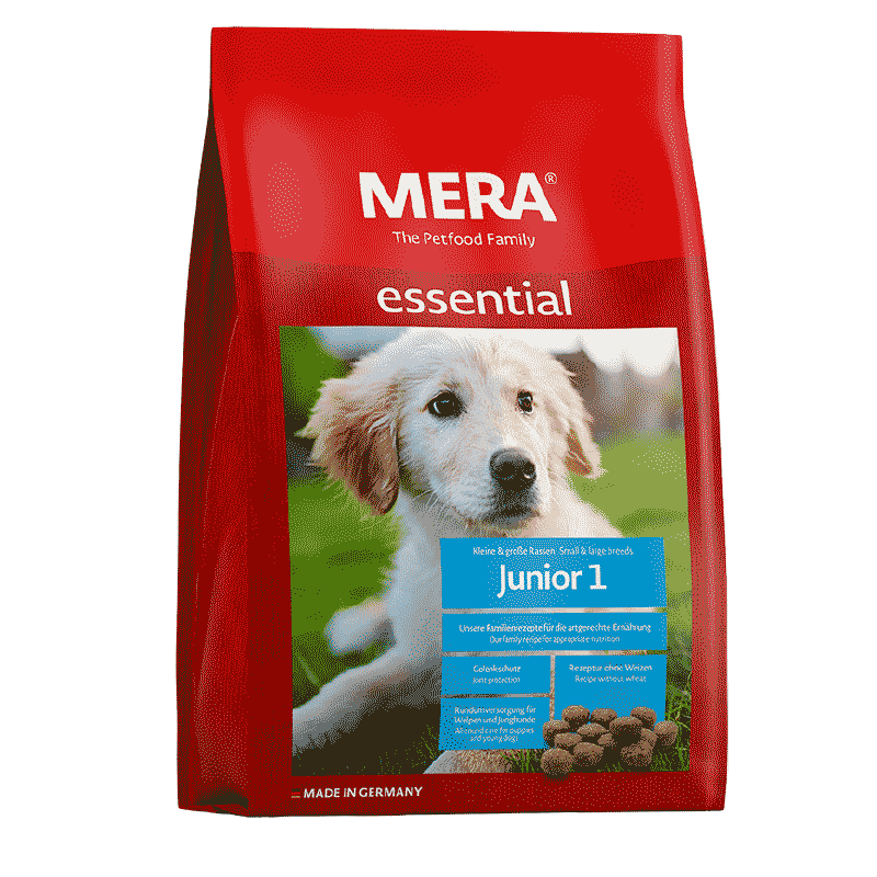 Mera Dog Junior 1