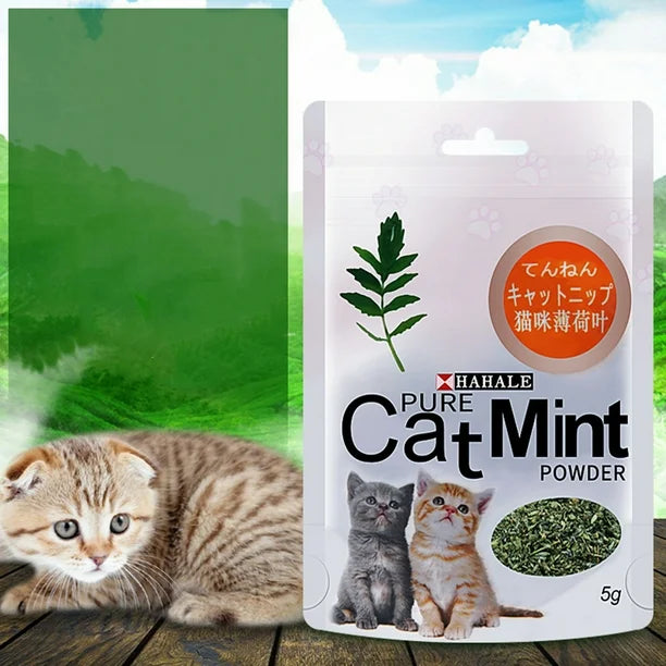 Poudre de Menthe pour Chat 5g/paquet Friandises Naturelles pour Nettoyage de Bouche de Chaton