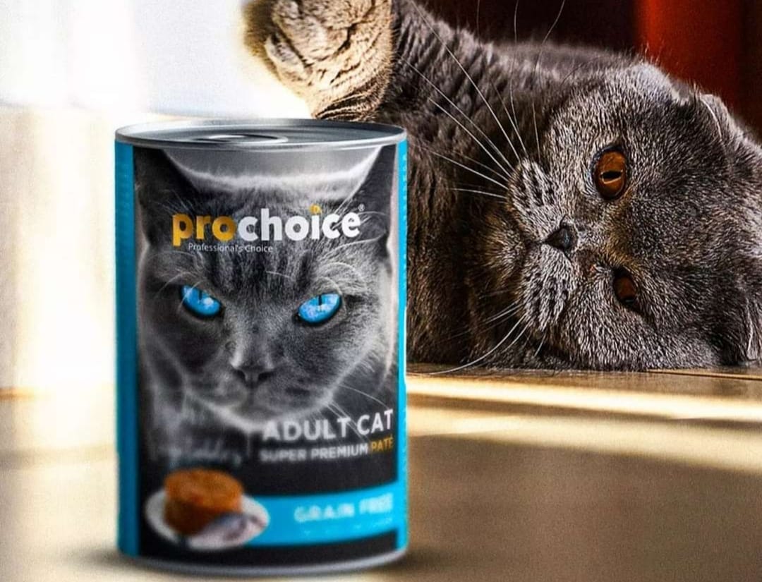 Prochoice Pâtée Sardine anchois
