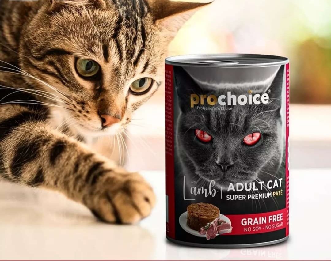 Prochoice Pâtée Lamb