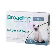 Broadline : Nouvel Antiparasitaire de Mérial