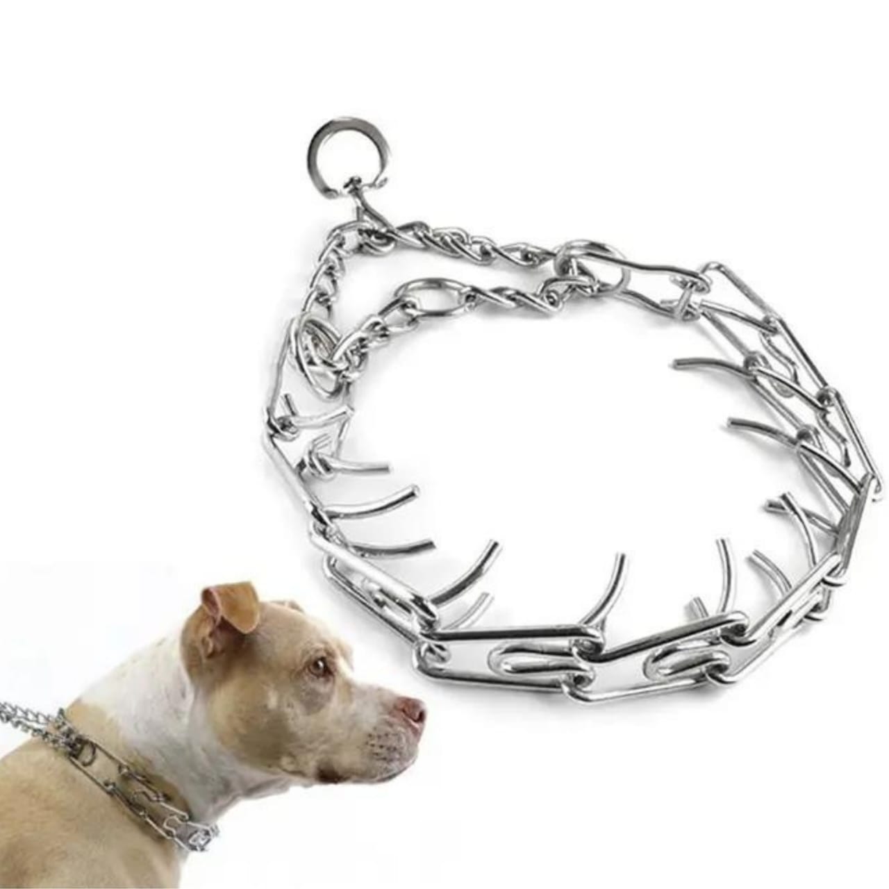 collier étrangleur à pointe pour chien