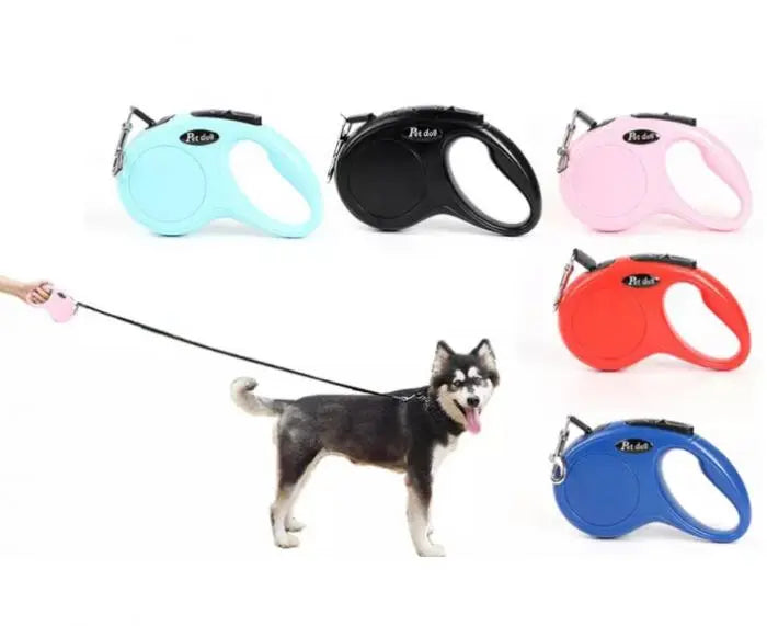 laisse retractable pour chien