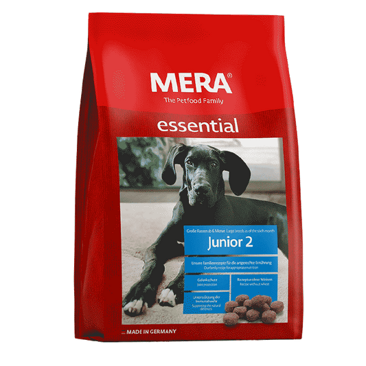Mera Dog Junior 2