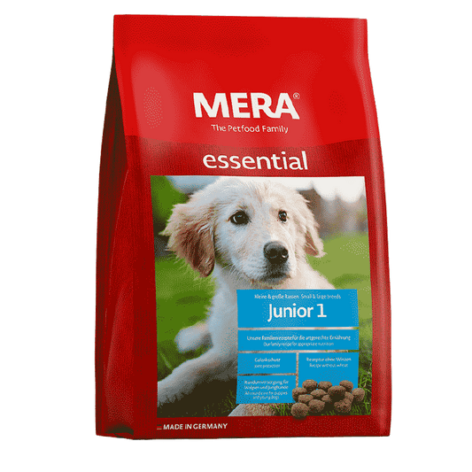 Mera Dog Junior 1