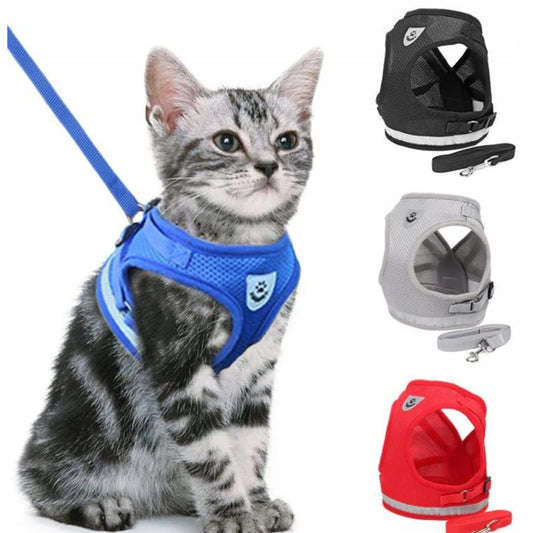 Harnais avec laisse Chat Rouge Noir  Gris  Bleu