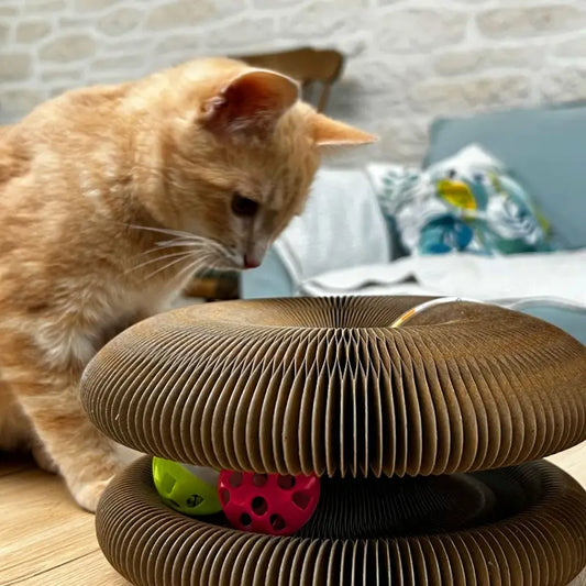 Jouet griffoir pour chat en carton